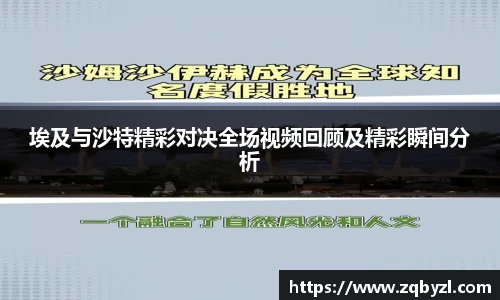 埃及与沙特精彩对决全场视频回顾及精彩瞬间分析